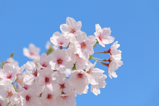 令和8年度入学式